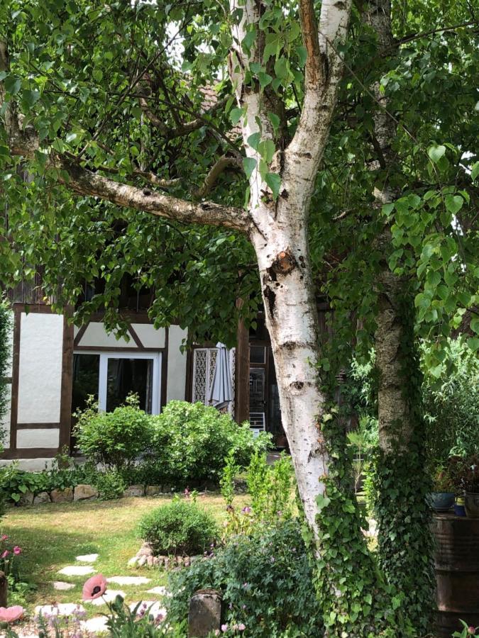 Le Sechoir Du Ried Apartment Rossfeld Exterior photo